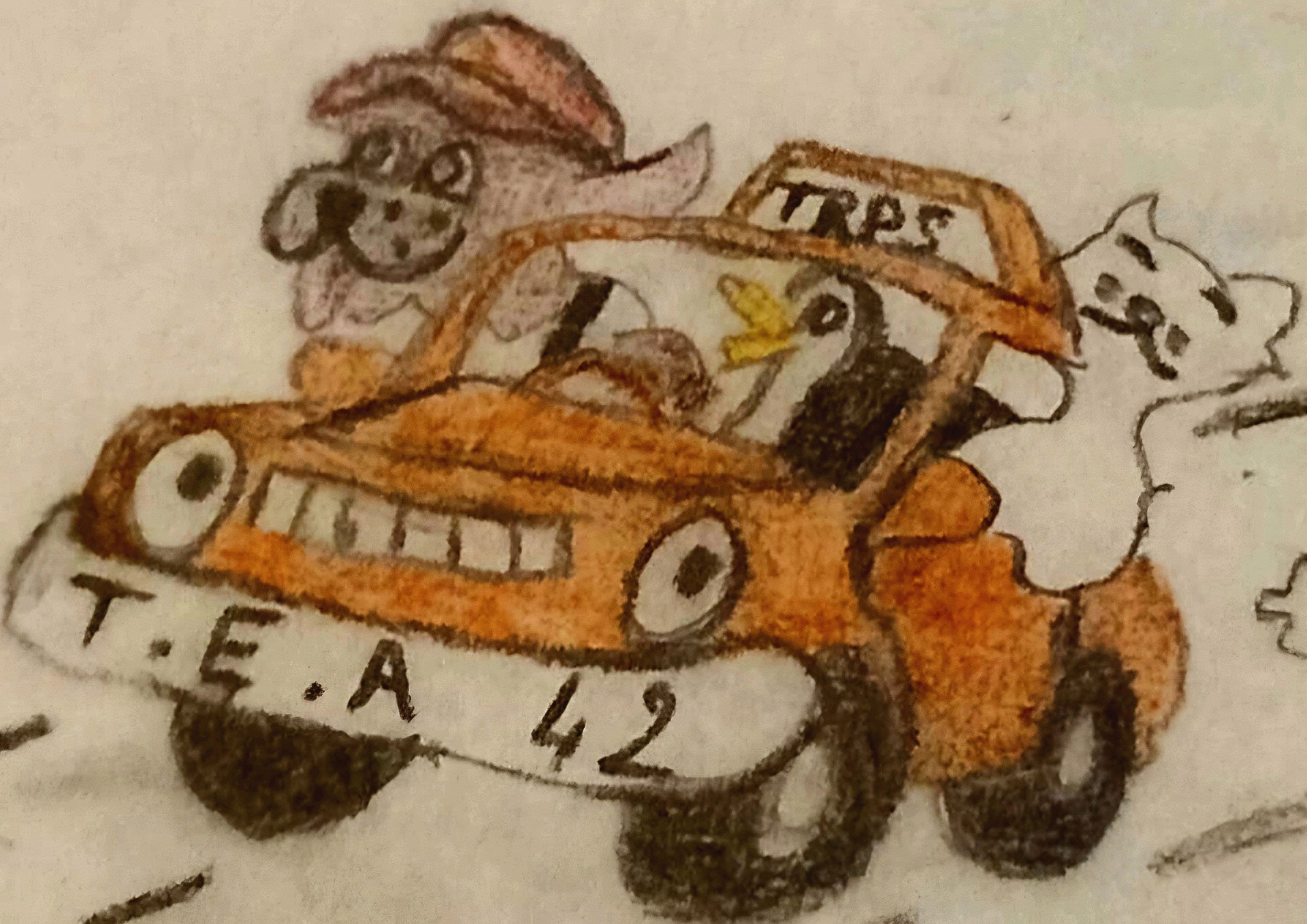 trans-express-animals